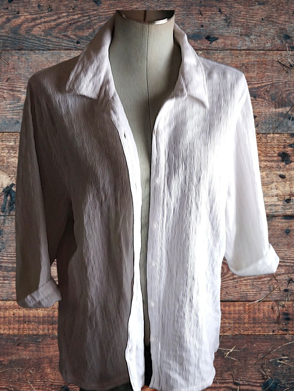 Button-Front Collared Blouse - Picture 5 of 8